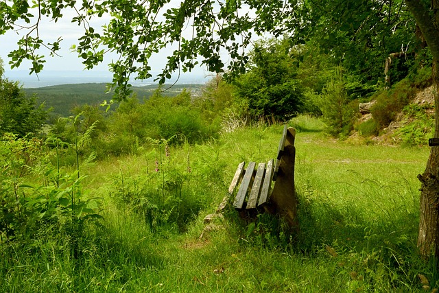 了自己的多 了自己的多
