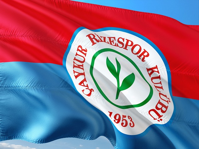 全红婵的崛 全红婵的崛