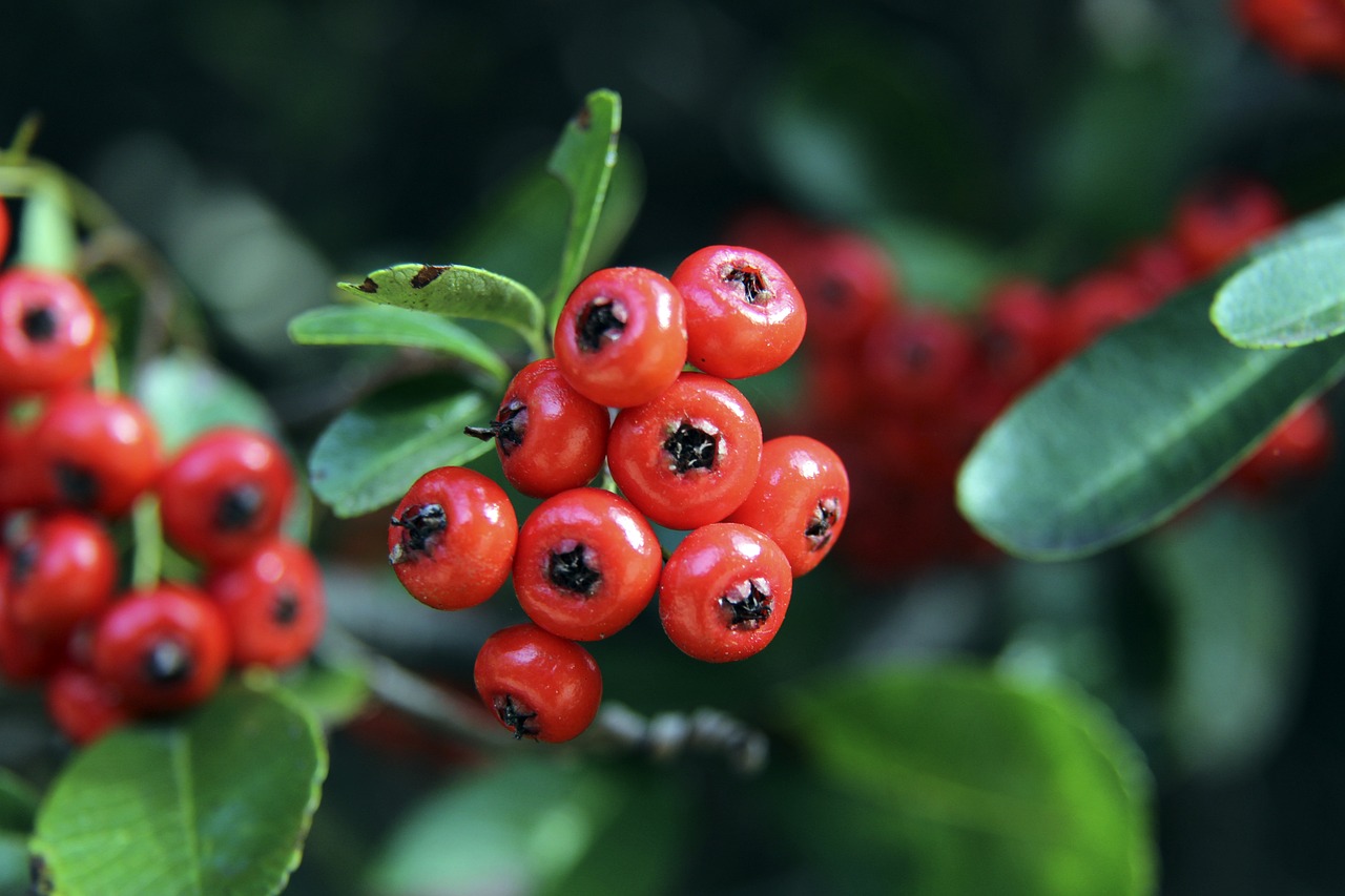 作为一名公 作为一名公