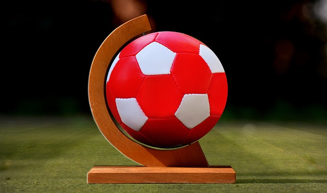 但如果從技 但如果從技