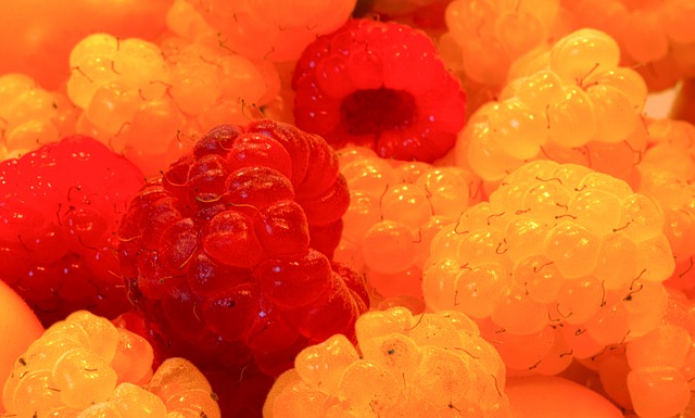 他们的支持 他们的支持