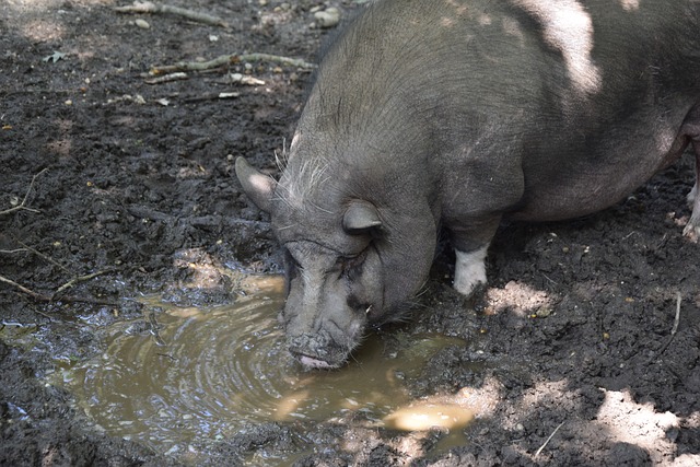 般的起速冲 般的起速冲
