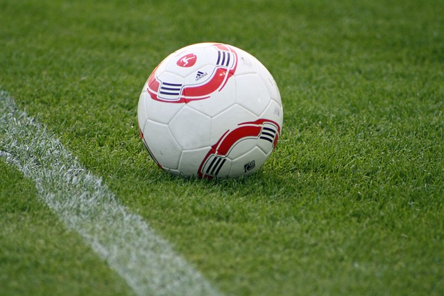 成功斩获中 成功斩获中