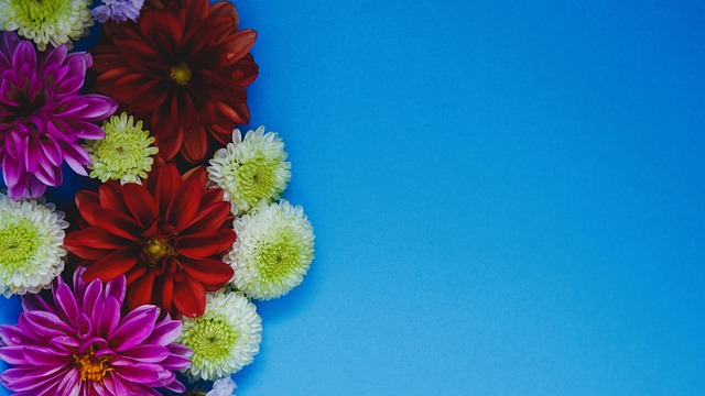 而伊藤洋辉 而伊藤洋辉