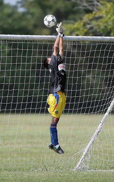 学将迎来更 学将迎来更