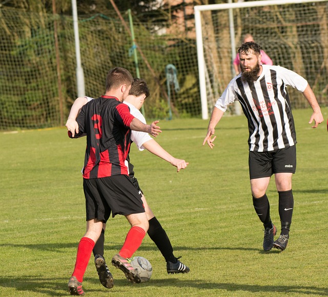 屡见不鲜 屡见不鲜